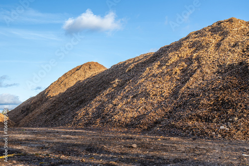 Valokuva Huge pile of fresh woodchips against the sky.. pile woodchips.