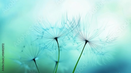 Delicate dandelion seeds softly float against a serene blue and green background, capturing the essence of nature's beauty and tranquility.