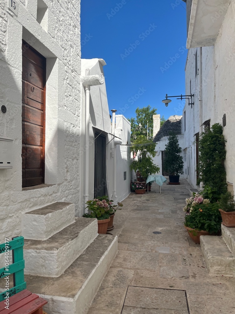 Naklejka premium Charming Narrow Alley with Whitewashed Buildings in Ostuni, Italy