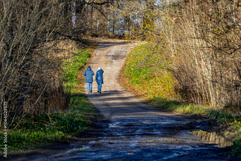Obraz premium Two individuals wearing blue jackets walk along a dirt path surrounded by trees and autumn foliage, heading uphill on a sunny day. The scene is peaceful and natural.