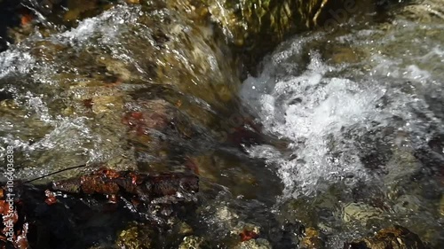 Closeup of a small waterfall from a mountain stream in an autum forest, slow motion