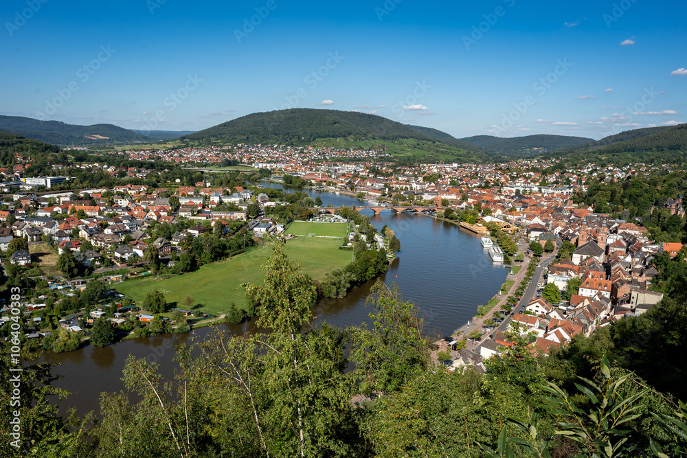 Obraz premium Ausblick auf Miltenberg am Main in Bayern