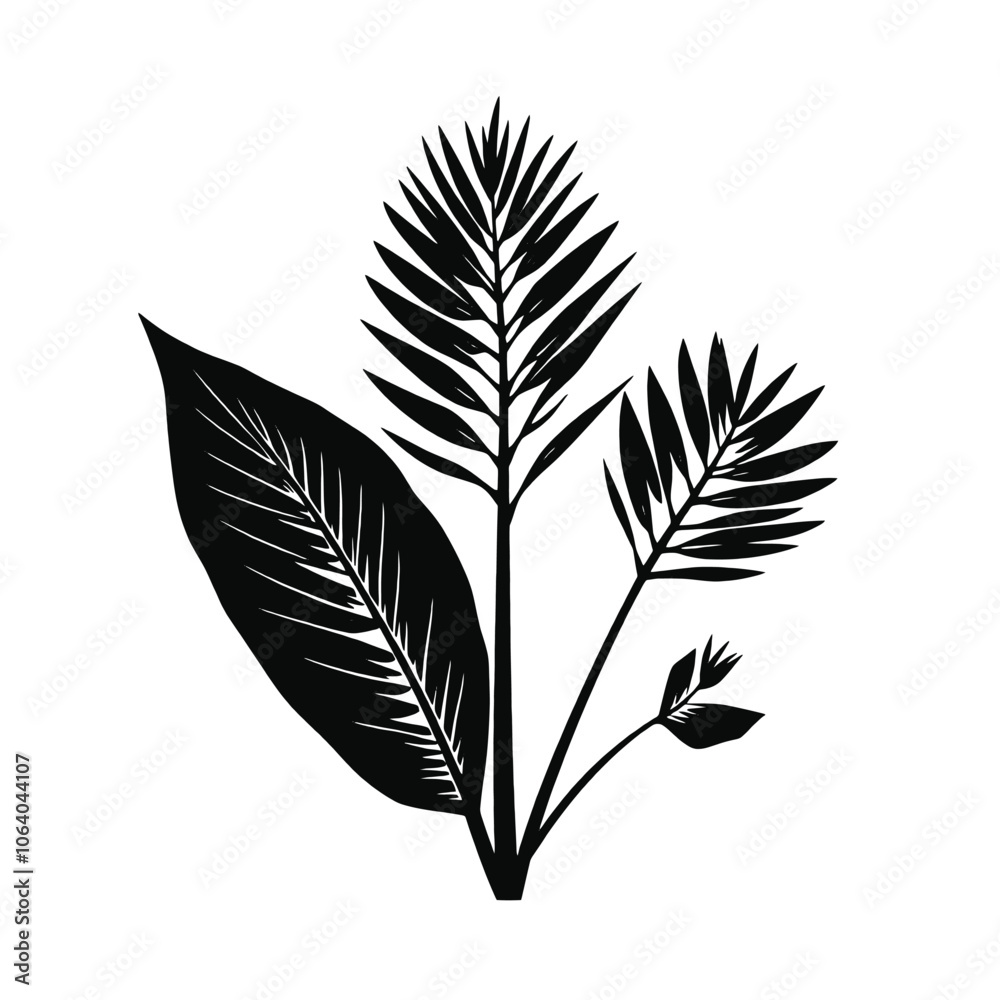a black and white illustration of three palm leaves. a black and white illustration of three palm leaves.