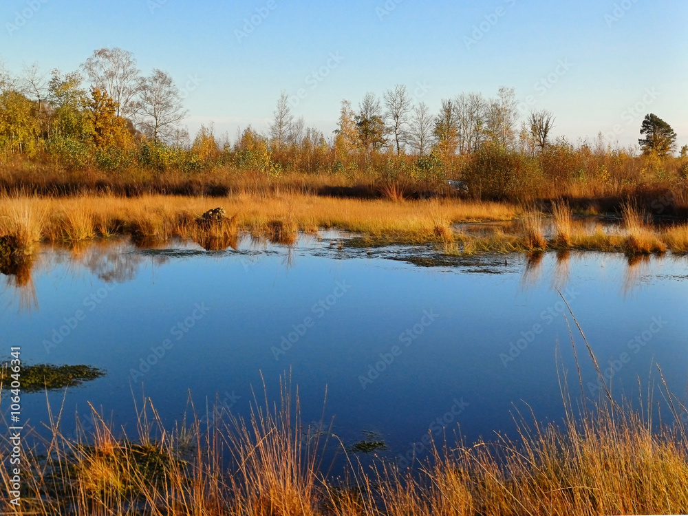 Fototapeta premium autumn landscape with lake
