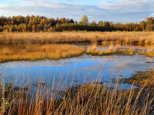 lake in autumn