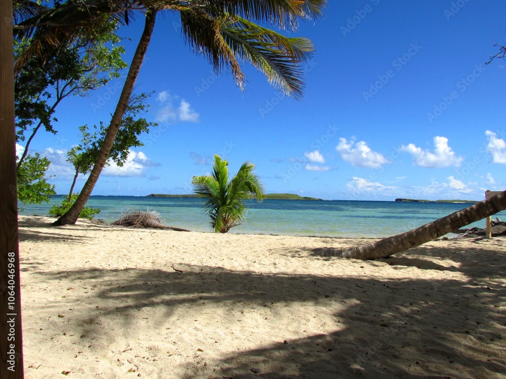 Fototapeta premium Desert Beach