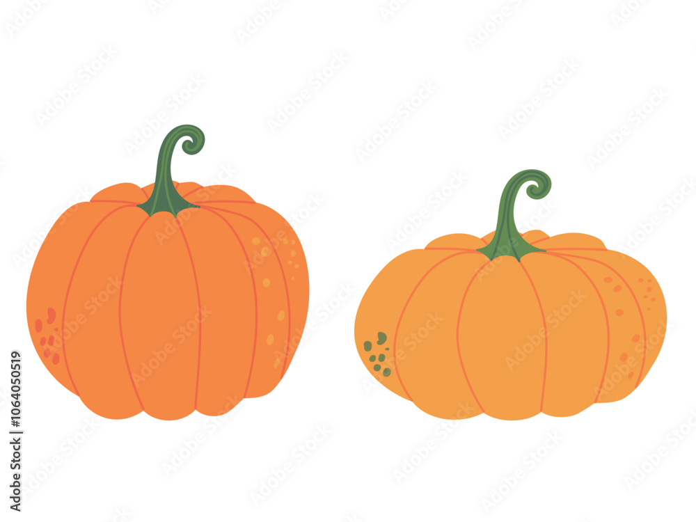 Fototapeta premium Set of beautiful big orange pumpkins isolated on white background. Hand drawn vector flat colored illustration. Symbol of thanksgiving day, autumn, happy halloween, harvest design, farm, agriculture