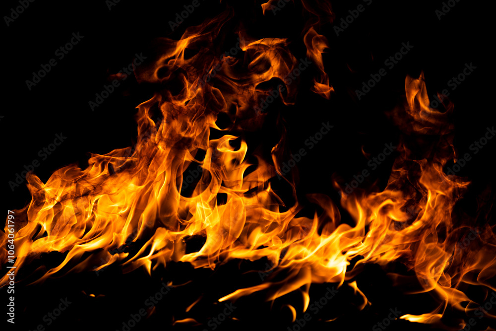 Fototapeta premium Fire flame. Burn lights on a black background.