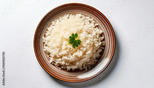 arroz sobre un plato elegante sobre fondo blanco