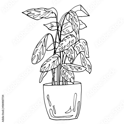Home flowers in pot drawing with line-art on white backgrounds.