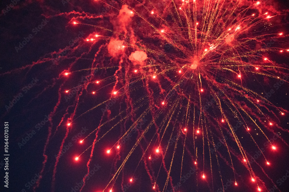 Fototapeta premium close-up firework in the night of the 4th of july