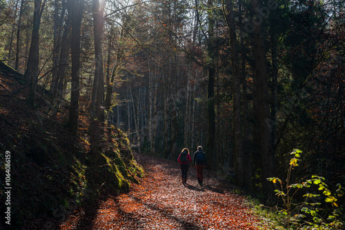 Urlaub im Herbst in den Alpen in Bayern: Paar, Mann und Frau auf Wanderweg im Wald im Gegenlicht, wunderbare Lichtstimmung photo