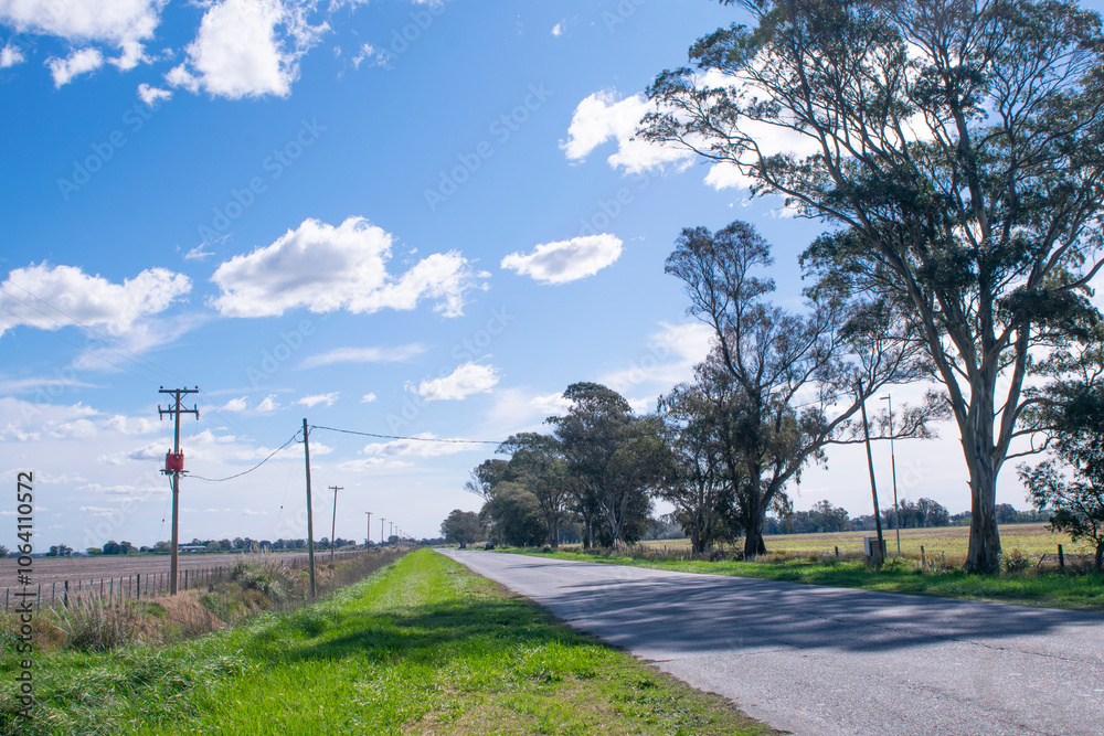 Landscape in Argentina ,Road and trees Landscape in Argentina ,Road and trees