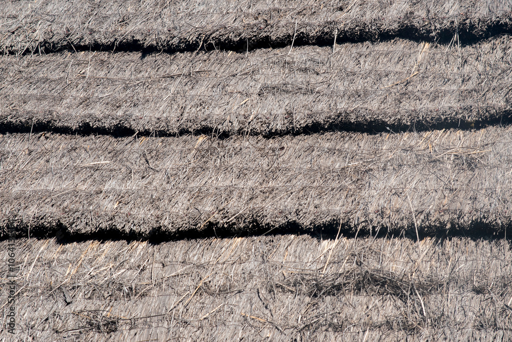texture of a thatched roof