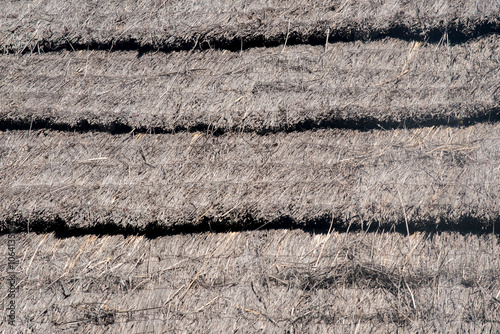 Obraz na płótnie texture of a thatched roof w salonie