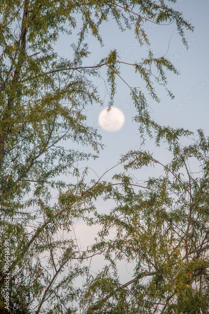 full moon at sunset on the banks of the Parana River