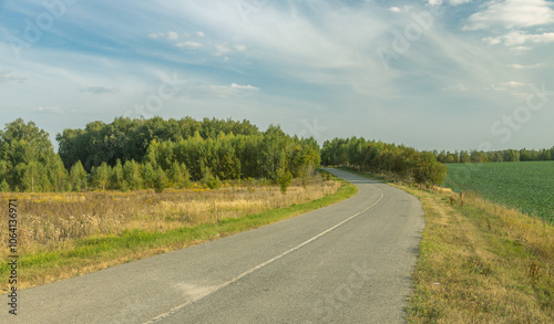 A road with trees on either side and a clear blue sky