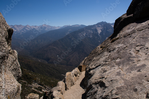 Sequioia national park
