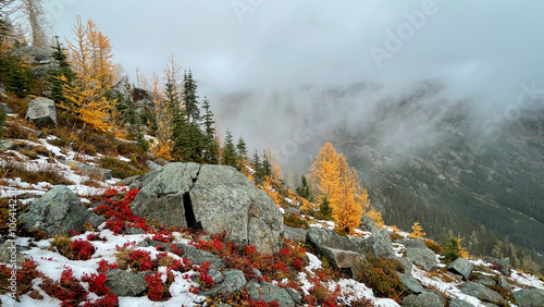 Fall colors in the mountains