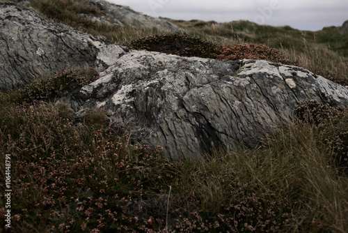 rock in the middle of mellow autumn vegetation.