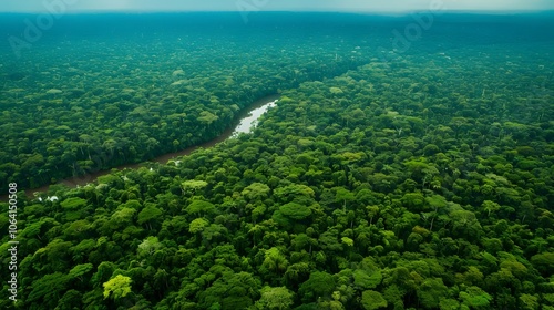 Aerial view of Amazon rainforest in Brazil, South America. Green forest. Bird's-eye view. 