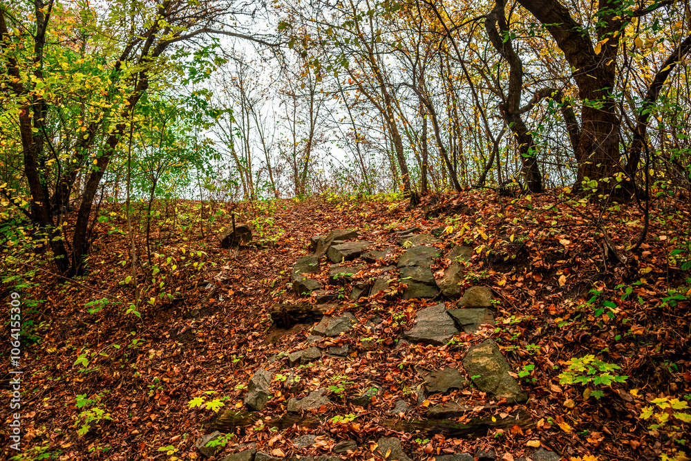 Autumn forest at the morning,green and yellow leaves on trees.Beautiful landscape pictures in the woodlands and forest.Path in the woods, Ukrainian nature.Beautiful and mystery weather ,fall colors Autumn forest at the morning,green and yellow leaves on trees.Beautiful landscape pictures in the woodlands and forest.Path in the woods, Ukrainian nature.Beautiful and mystery weather ,fall colors