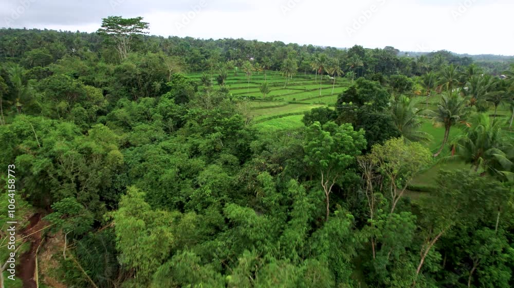Vue aérienne spectaculaire des rizières en terrasses de Bali – Paysage tropical et rural en Indonésie (en drone) Vue aérienne spectaculaire des rizières en terrasses de Bali – Paysage tropical et rural en Indonésie (en drone)