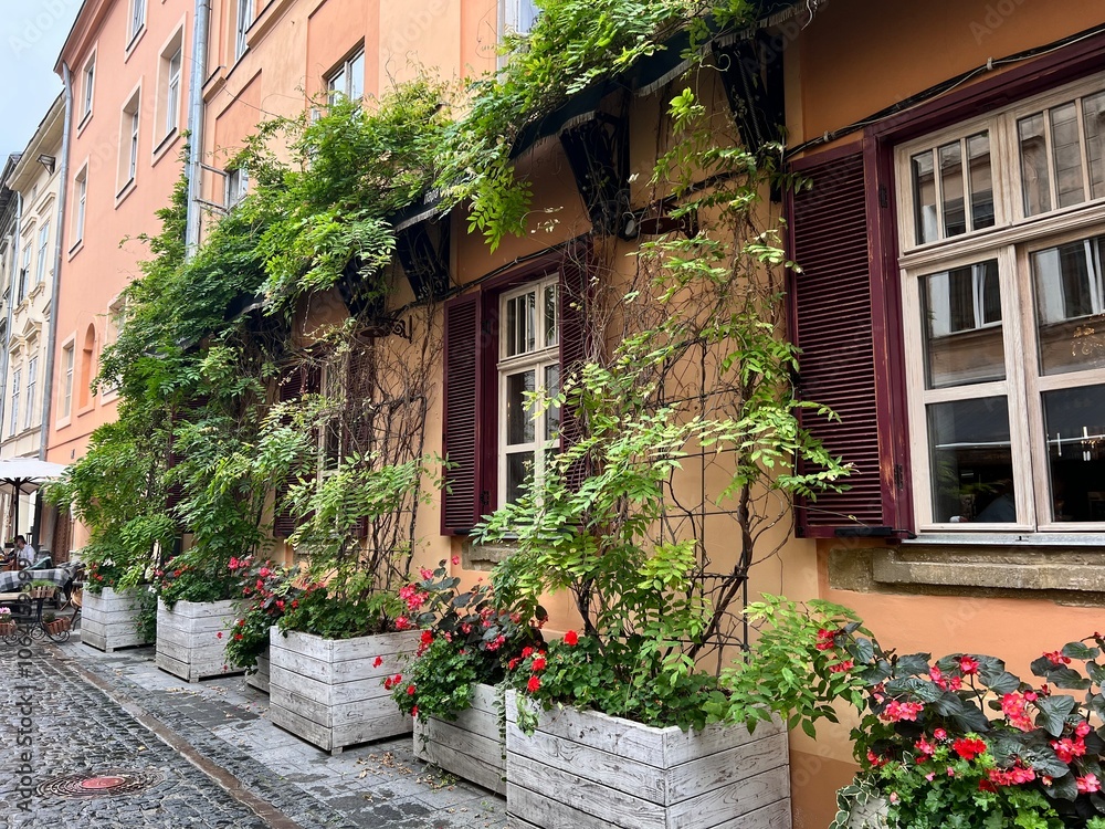 Fototapeta premium street in the town