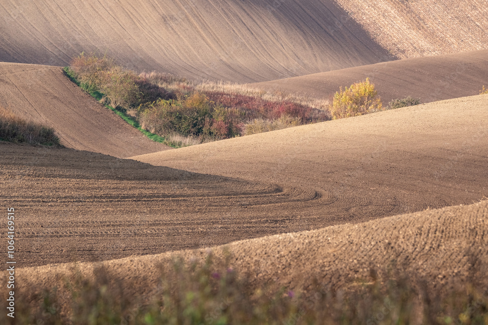 Obraz premium Stunning undulating arable agricultural landscape, photographed in autumn in south Moravia in the Czech Republic. The area is known as Moravian Tuscany and is full of rolling hills used for farming.