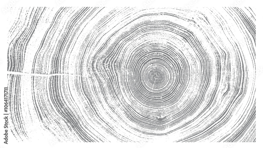 Circular detail of tree rings pattern cut wood texture. Light gray and white ring pattern from a felled tree wood slab.
