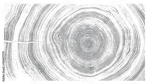 Circular detail of tree rings pattern cut wood texture. Light gray and white ring pattern from a felled tree wood slab.
