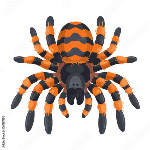 2D flat vector illustration tarantula icon isolated on a white background.

