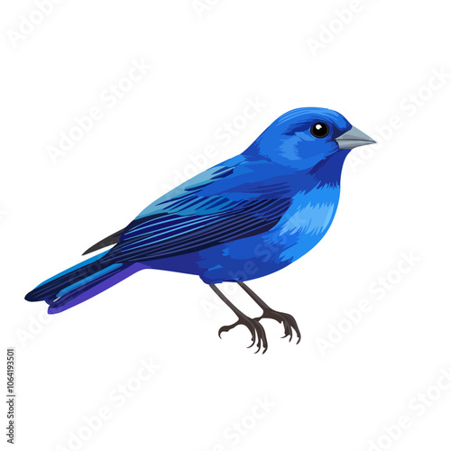 indigo bunting bird vector art illustration