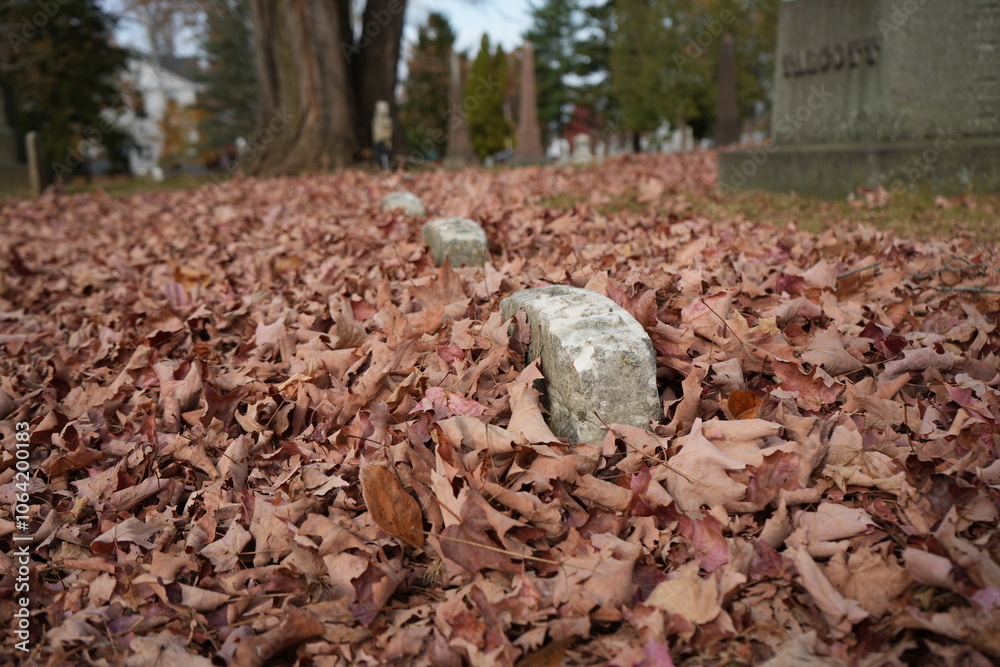 Obraz premium Gravestones in the fall