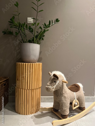 dog and cat
