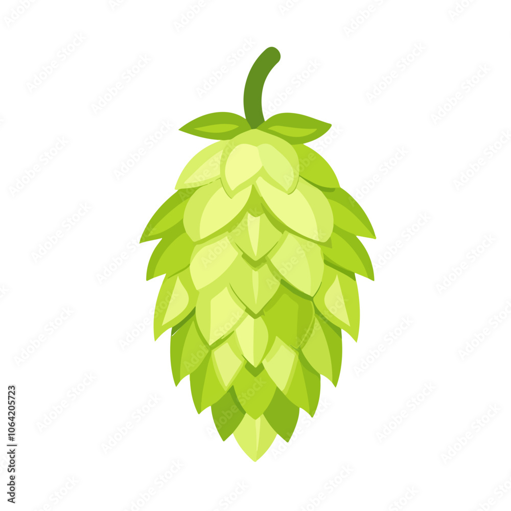 Obraz premium hop fruit