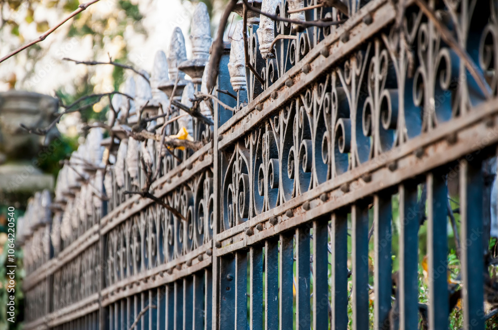 beautiful wrought fence. metal fence close up beautiful wrought fence. metal fence close up