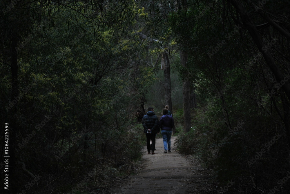 Obraz premium Family Walk