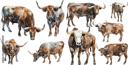 texas longhorn watercolor clipart
