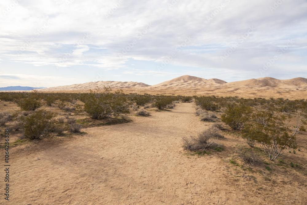 Walking path to Kelso Dunes, Mojave National Preserve, California Walking path to Kelso Dunes, Mojave National Preserve, California