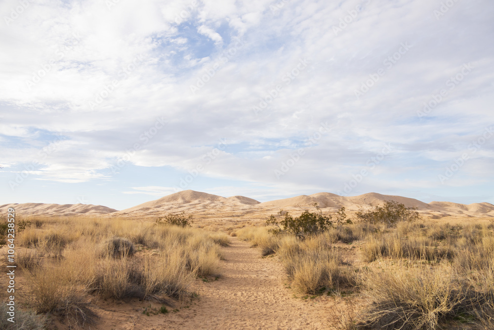 Walking path to Kelso Dunes, Mojave National Preserve, California Walking path to Kelso Dunes, Mojave National Preserve, California