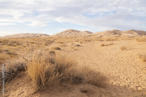 Kelso Dunes, Mojave National Preserve, California