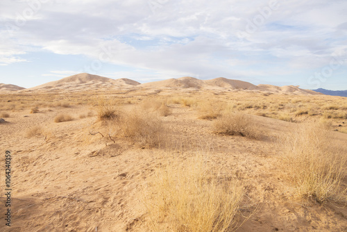 Kelso Dunes, Mojave National Preserve, California