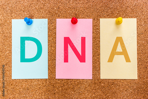 Fotografie Conceptual 3 letters keyword DNA (Deoxyribonucleic Acid) on multicolored stickers attached to a cork board
