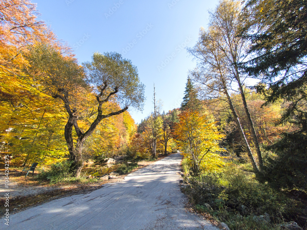 Obraz premium Autumn panorama of Vitosha Mountain, Bulgaria