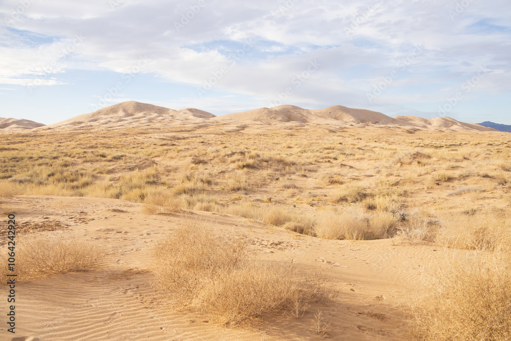 Kelso Dunes, Mojave National Preserve, California Kelso Dunes, Mojave National Preserve, California