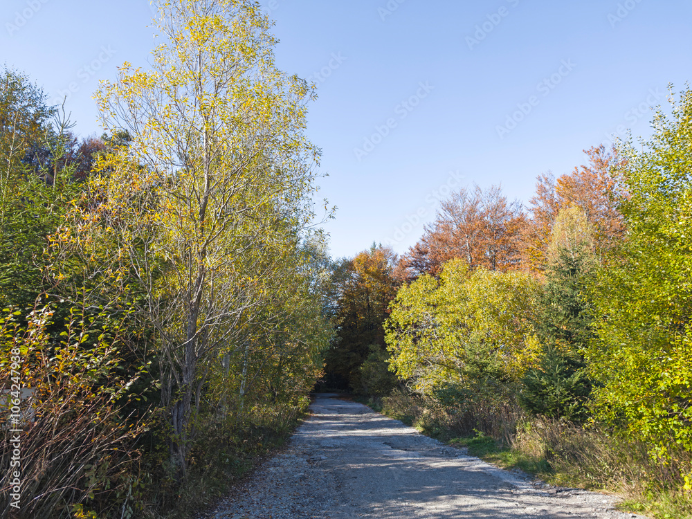 Obraz premium Autumn panorama of Vitosha Mountain, Bulgaria