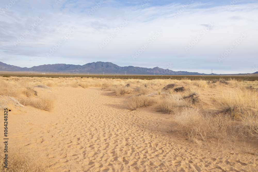 Walking path to Kelso Dunes, Mojave National Preserve, California Walking path to Kelso Dunes, Mojave National Preserve, California