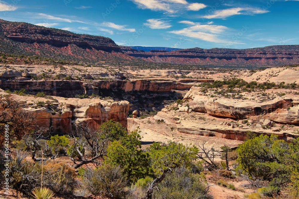 Fall View of White Canyon in Natural Bridges National Monument in Utah. Fall View of White Canyon in Natural Bridges National Monument in Utah.