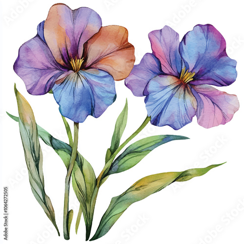 wallflower flower watercolor clipart illustration isolated